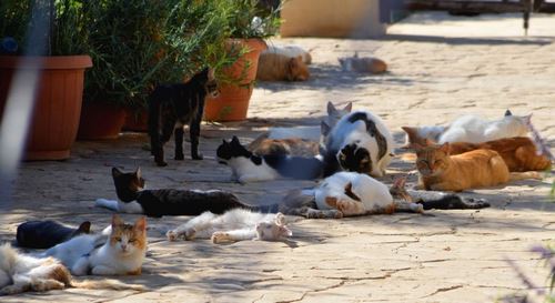 Sonbaharda tatil - kadife sezonunda dinlenmek için en iyi ülkeler