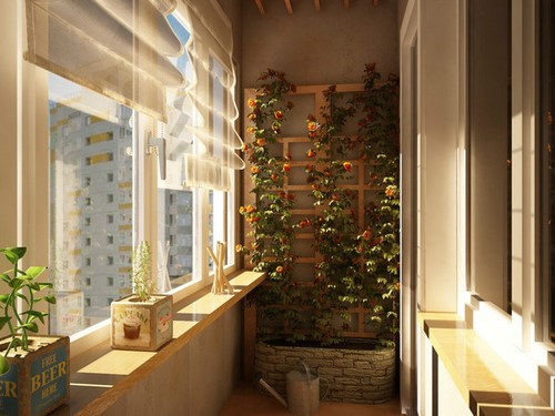 Loggia tasarımı - bir loggia düzenleme fikrinin fotoğrafı